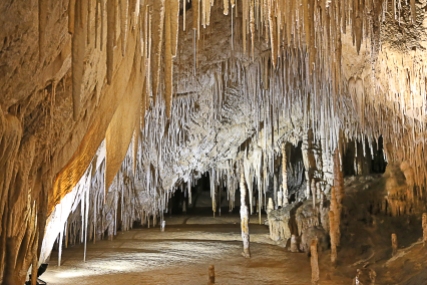 Hastings Caves, Australia